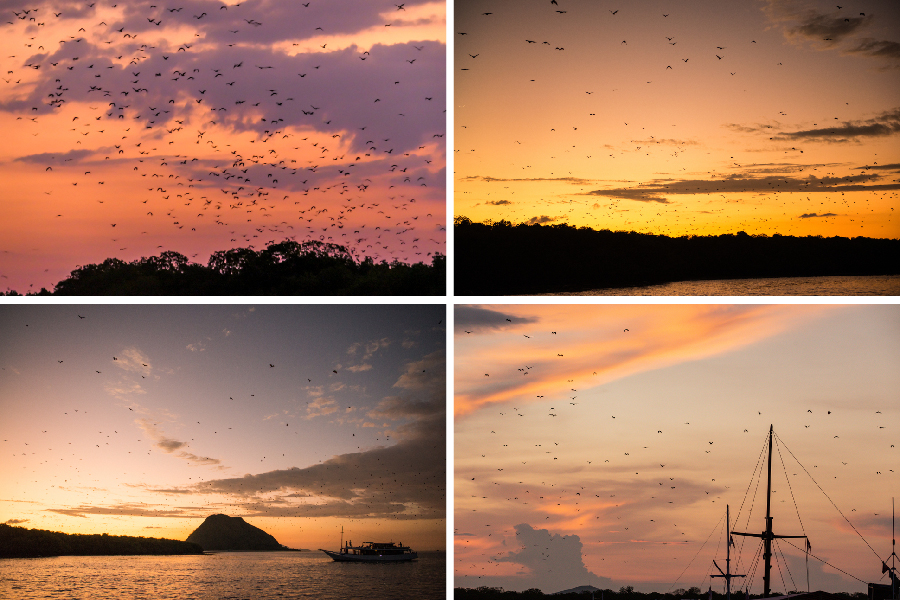 wisata kekinian labuan bajo