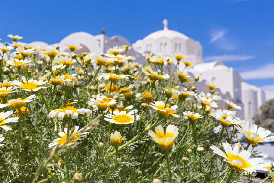 greece spring