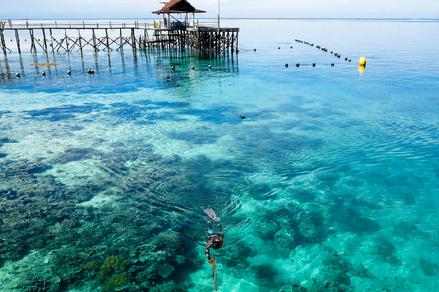 tips aman dan nyaman ke derawan