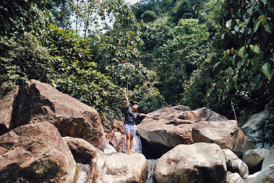 rocks