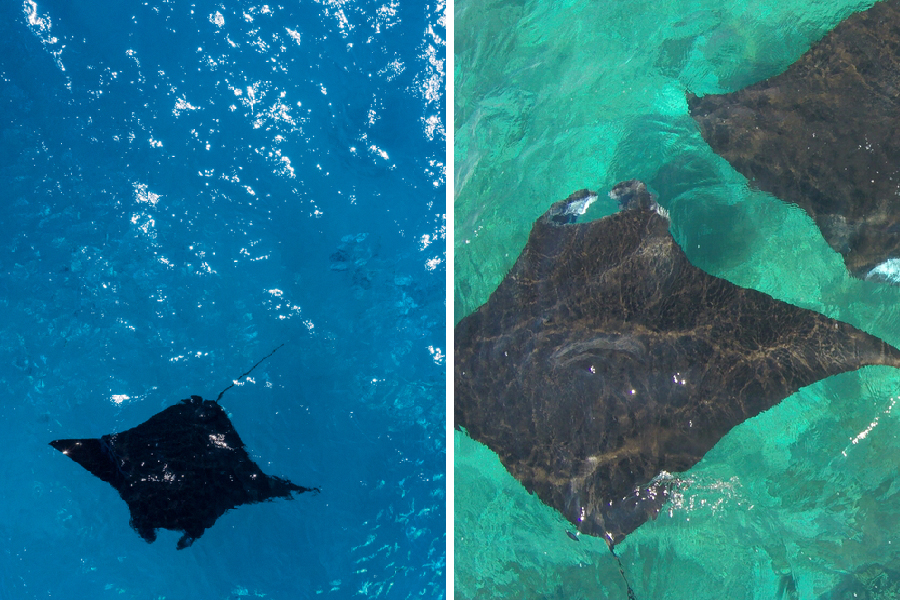 spot diving dan snorkeling di labuan bajo