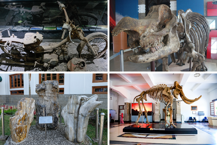 Museum Geologi
