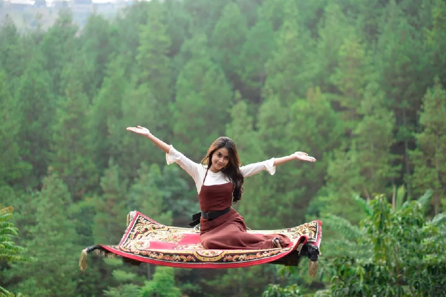 Dago Dream Park