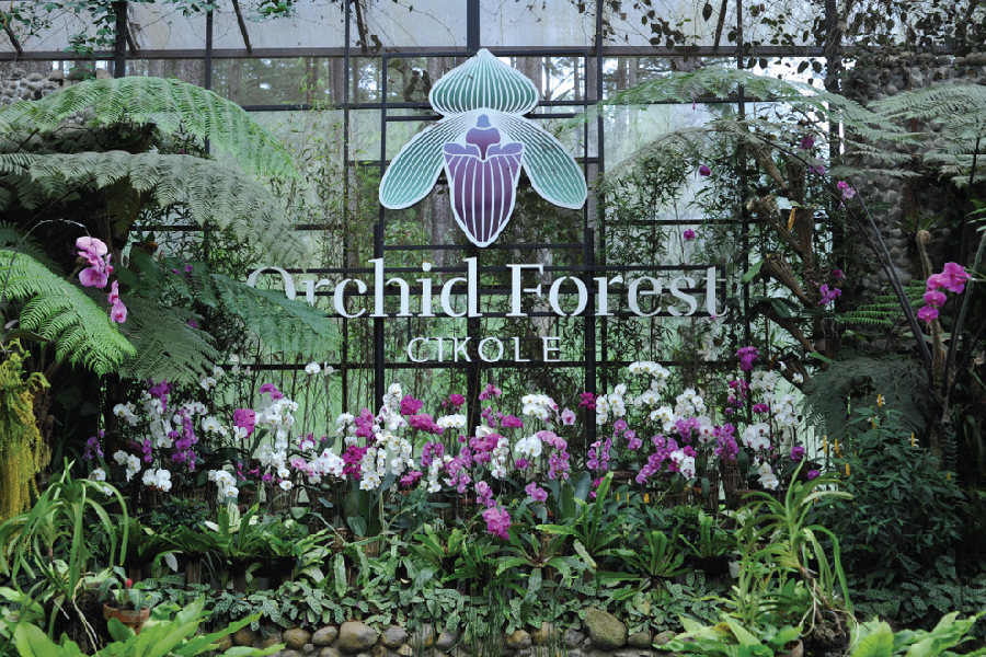 wisata alam Bandung - orchid forest