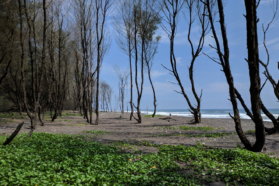 best beaches in indonesia