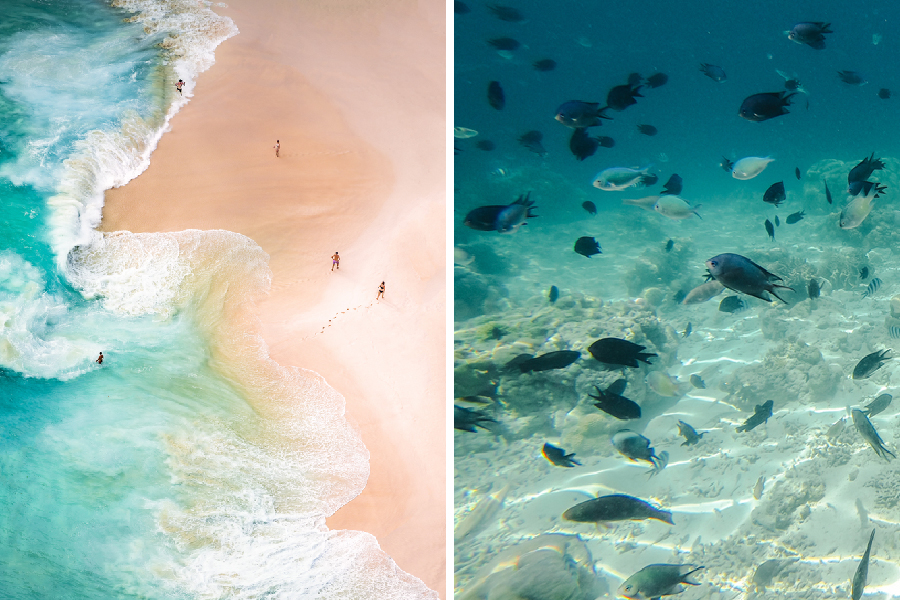 spot diving dan snorkeling di labuan bajo