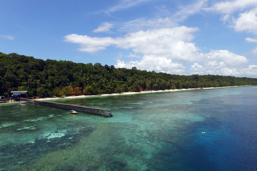 tips aman dan nyaman ke derawan