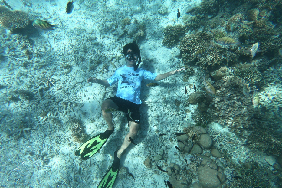 spot diving dan snorkeling di labuan bajo