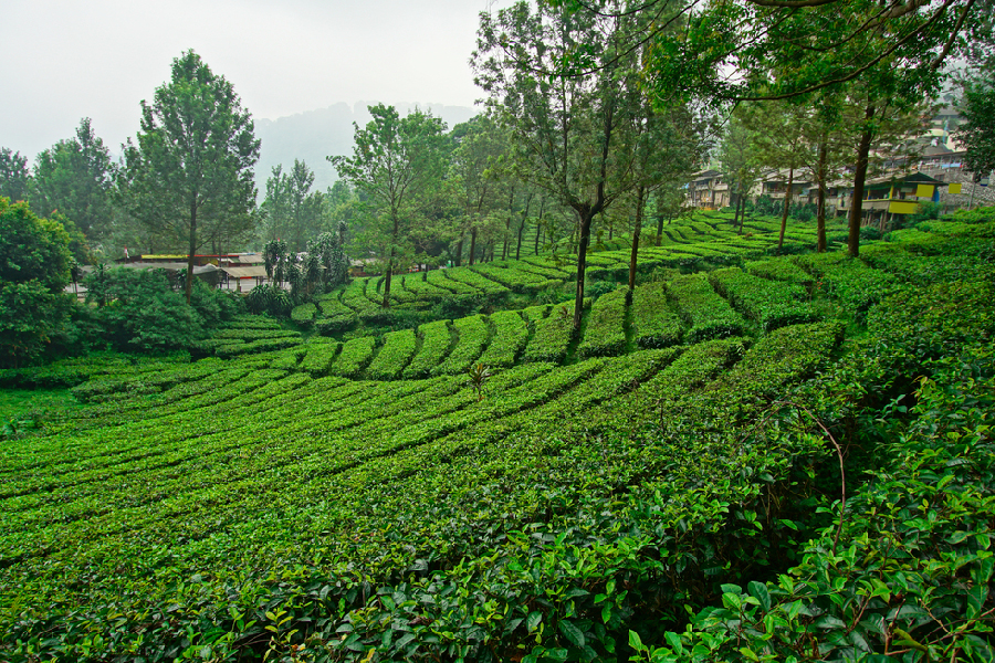 best road trip destinations indonesia