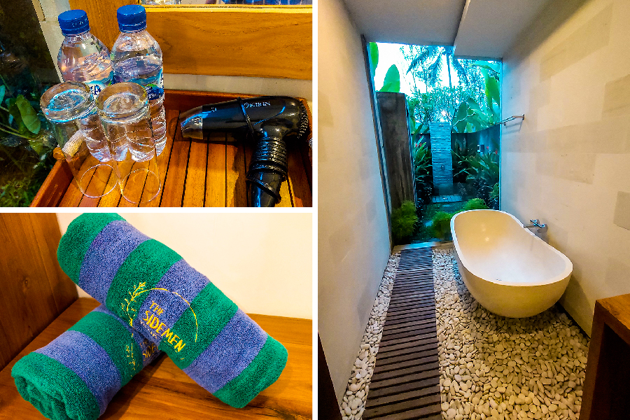tub and shower and toilet amenities