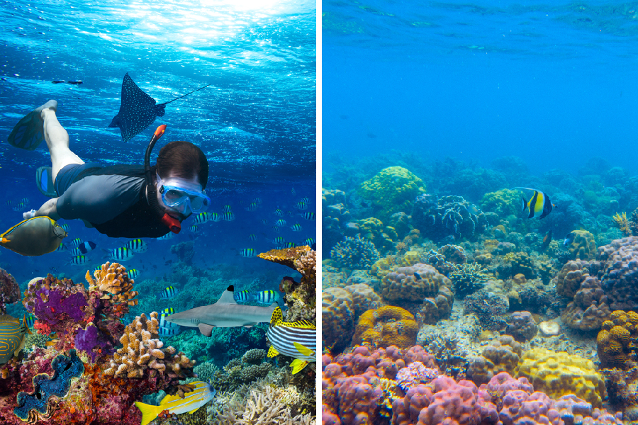 Liburan di Pulau Tegal Mas