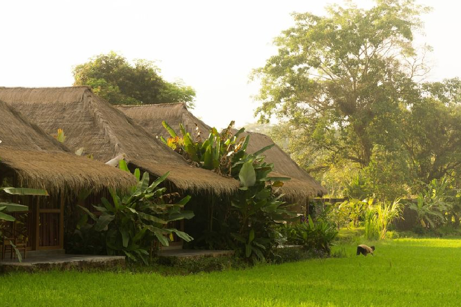 Penginapan di Bali Pemandangan Alam