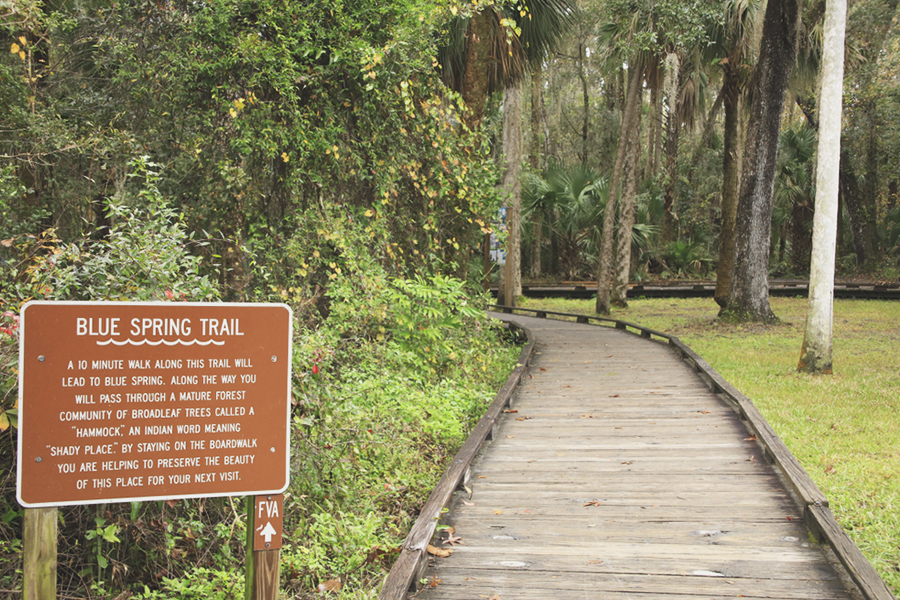 things to do in florida