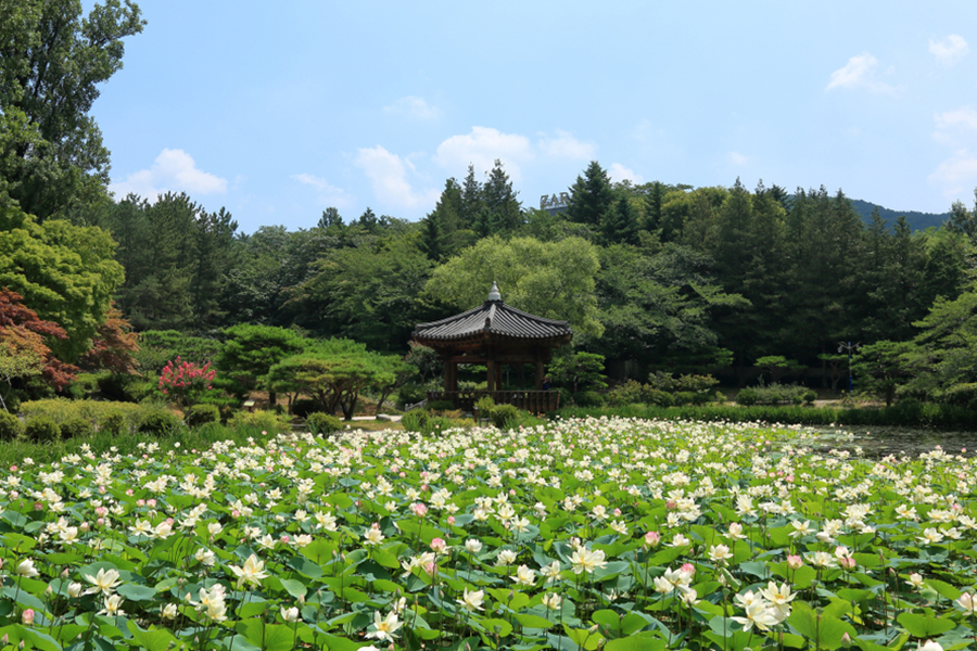 Tempat Wisata di Korea Selatan