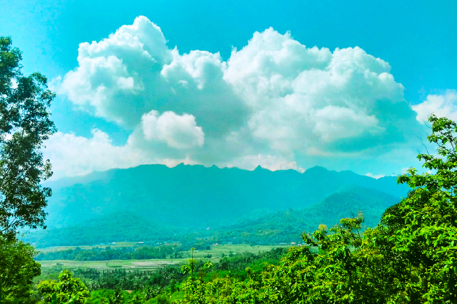 Bukit Barede Desa Karangrejo
