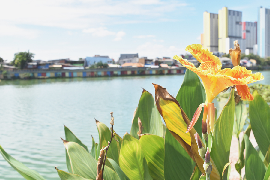Tourist Attractions in North Jakarta