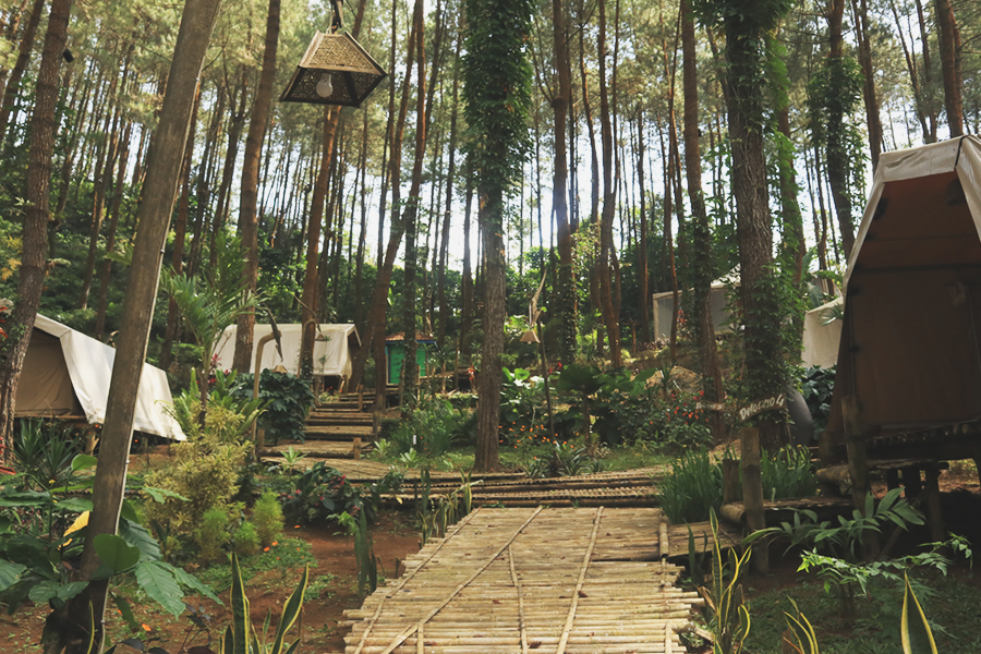 DeLoano Glamping