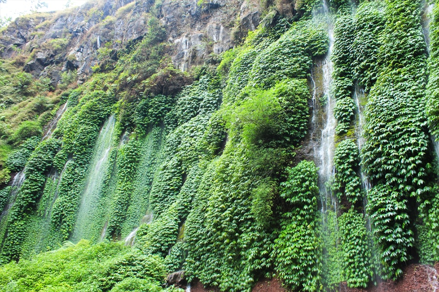 coban sumber pitu waterfall green surrounding