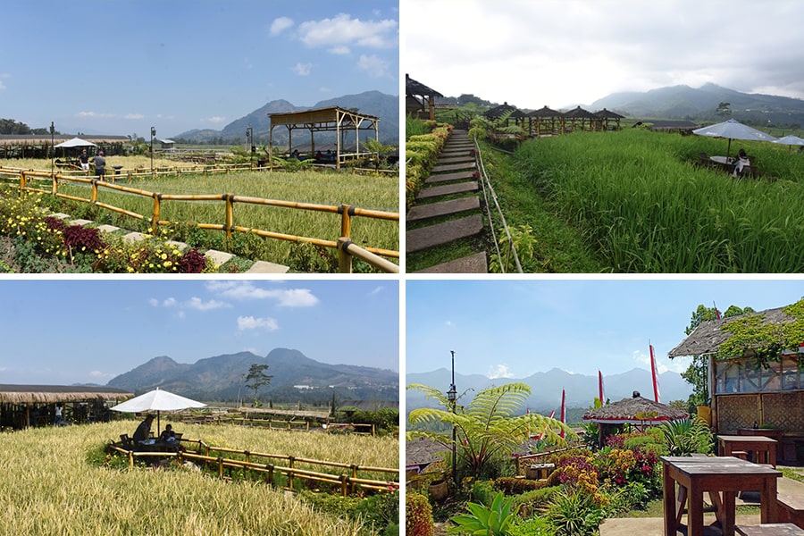 sawah cafe at pujon kidul tourism village