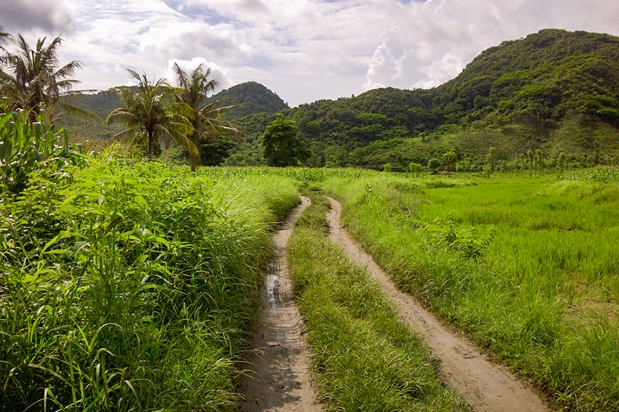 desa wisata pujon kidul