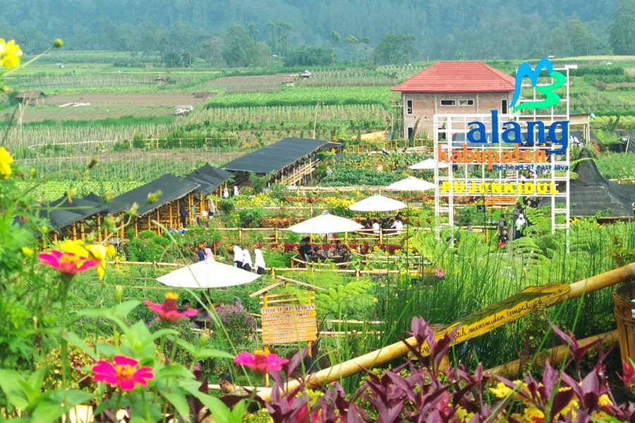 flower garden pujon kidul tourism village