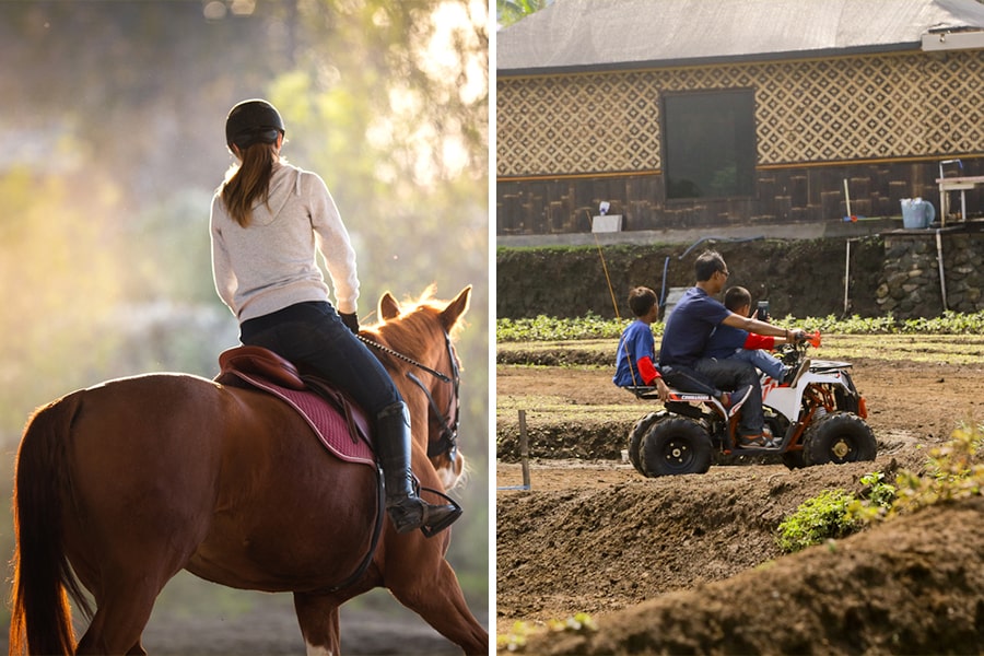 horse riding and paintball at pujon kidul tourism village