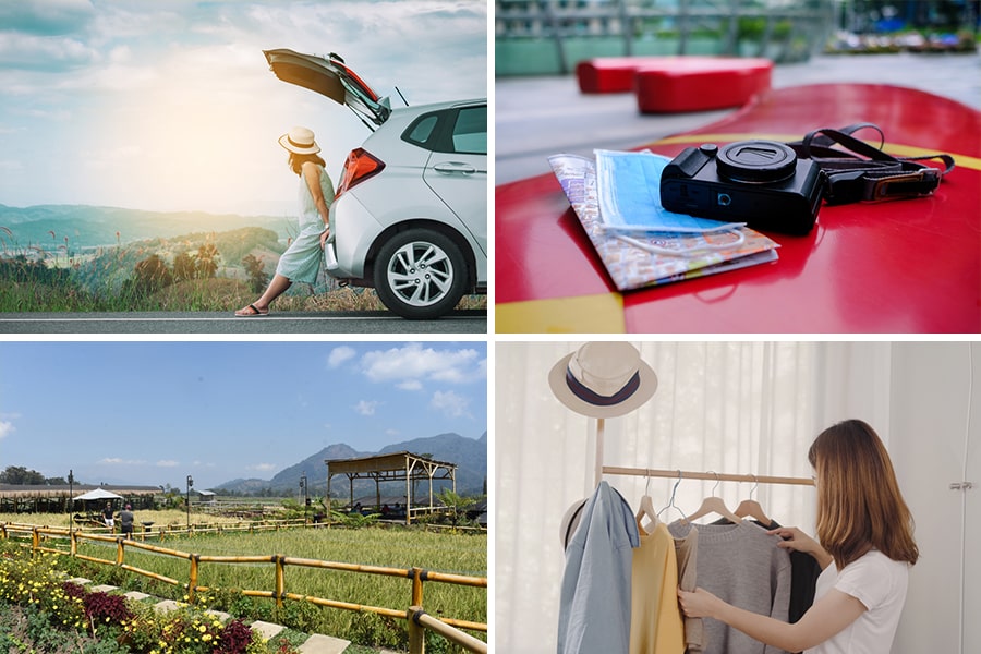 car, camera, field, woman collage