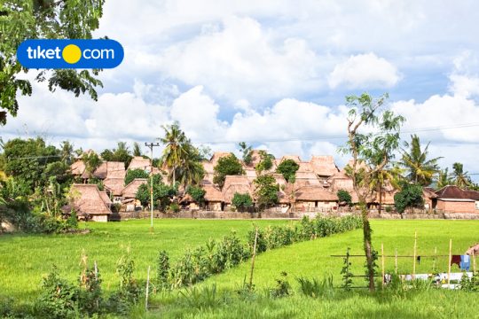 Desa Wisata Hijau
