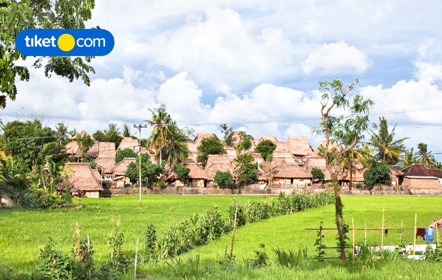 Desa Wisata Hijau