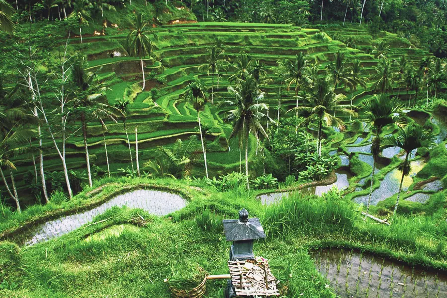 cycling trip Bali