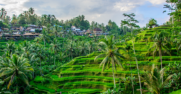 Destinasi Wisata Hari Ibu - Bali Destinasi Wisata Hari Ibu - Bali