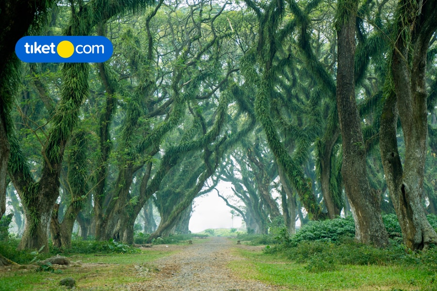 5 Destinasi di Indonesia Bak Negeri Dongeng, Indahnya Bikin Terpana!