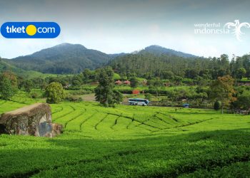 Bandung Through Your Screen: Enjoy Virtual Experiences from Home