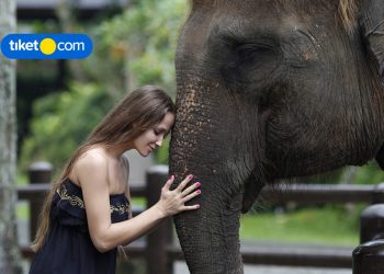 9 Taman Bermain di Bali untuk Liburan Bareng Keluarga, Dijamin Semua Senang!