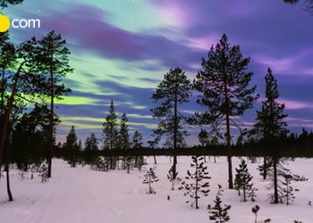 northern lights Murmansk