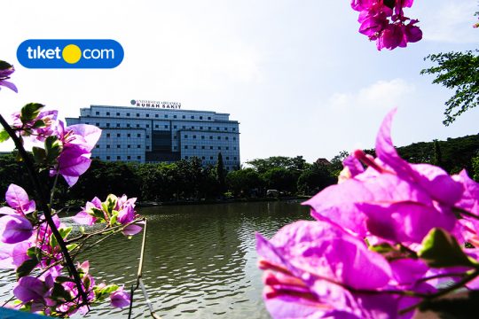 Hotel Dekat Universitas Airlangga