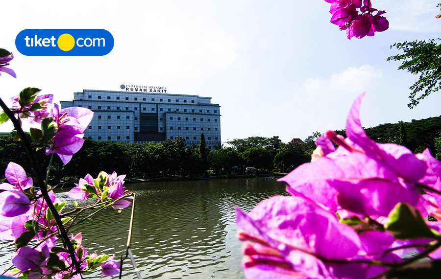 Hotel Dekat Universitas Airlangga
