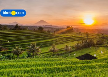 Tempat Wisata Gratis di Bali
