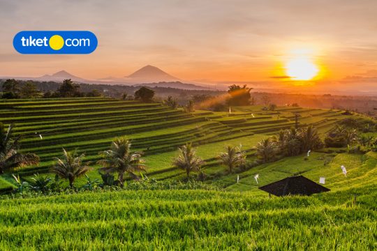 Tempat Wisata Gratis di Bali