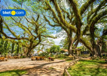 6 Epic Places in Banyuwangi, East Java You’ve Probably Never Heard Of