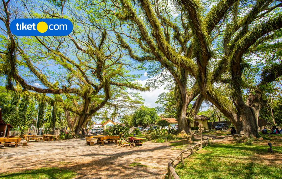 6 Epic Places in Banyuwangi, East Java You’ve Probably Never Heard Of