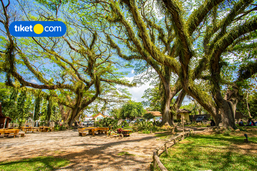 6 Epic Places in Banyuwangi, East Java You’ve Probably Never Heard Of