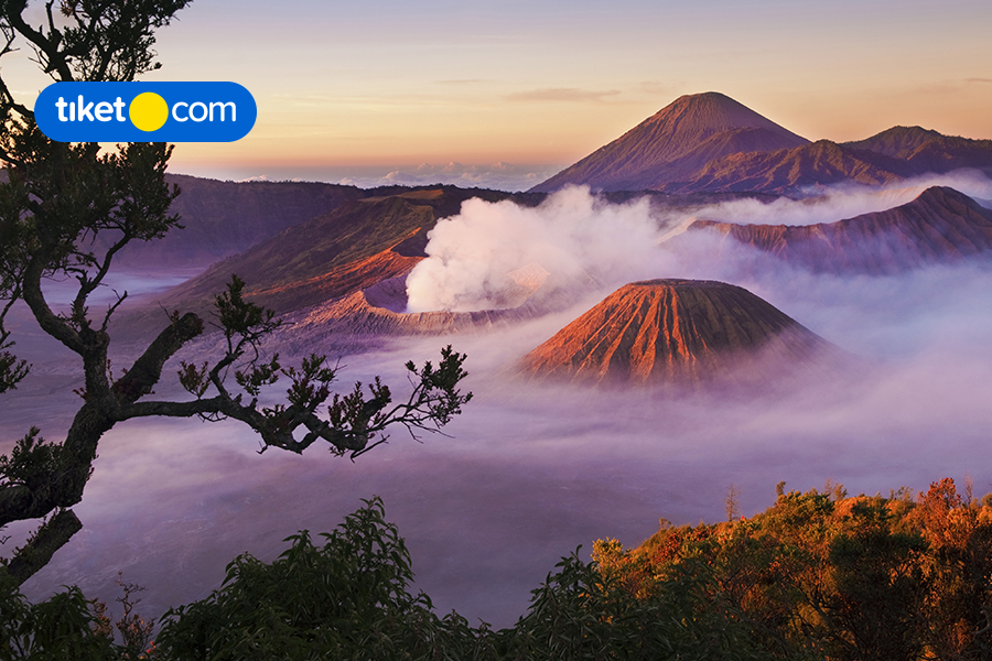 Promo Menarik! Diskon Sampai dengan 50% untuk Hotel di Jawa Timur