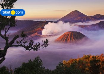 Amazing Deal! Save Up to 50% on Hotel Rooms in East Java