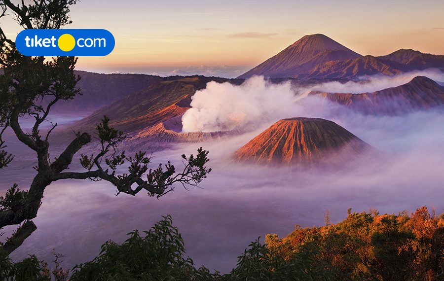 Amazing Deal! Save Up to 50% on Hotel Rooms in East Java