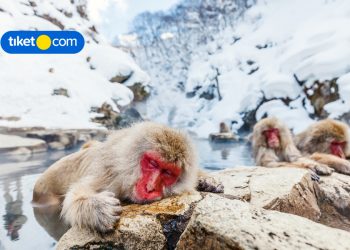 Plan Your Much-Deserved Winter Escape in These Scenic Countries