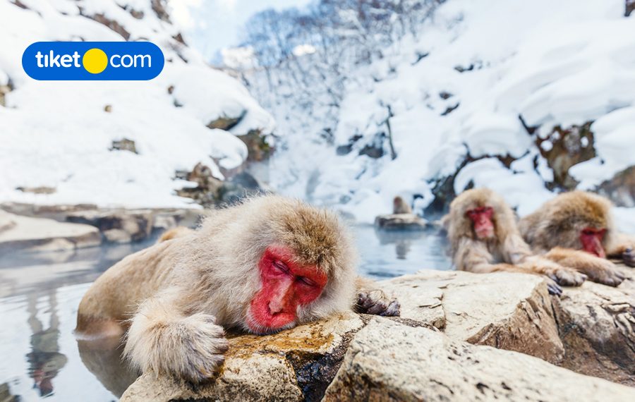 Plan Your Much-Deserved Winter Escape in These Scenic Countries