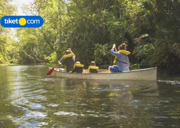 things to do in florida