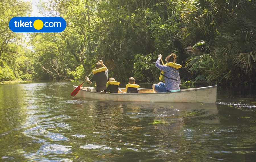 things to do in florida