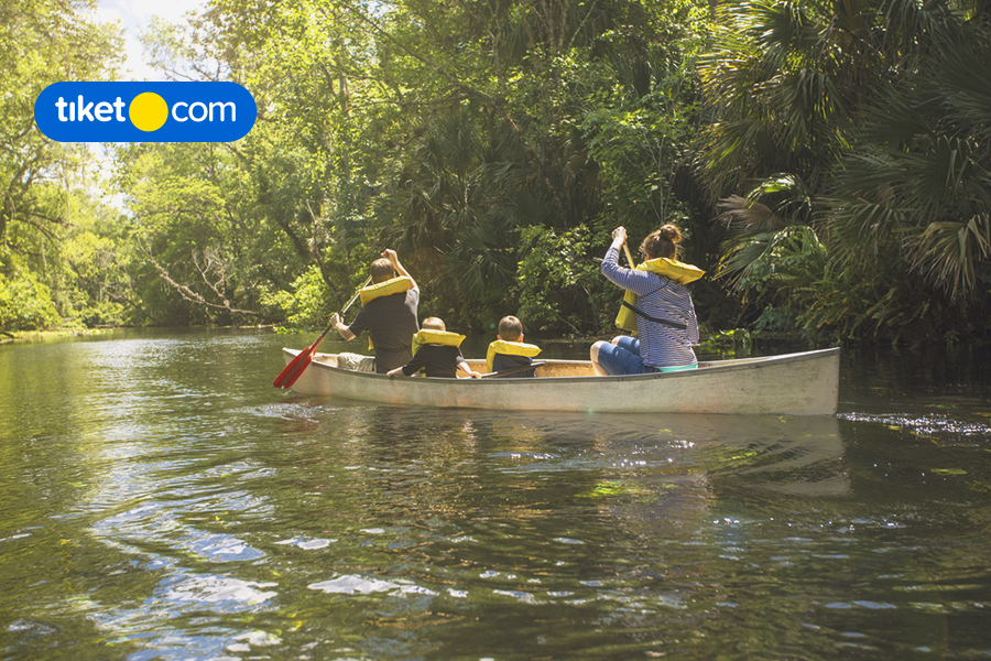 Amazing Things to Do in Florida for a Fun Family Trip